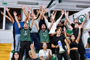 TIFOSI SHEDIRPHARMA SORRENTO
