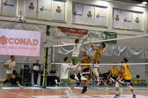 ALESSANDRO BELLUCCI