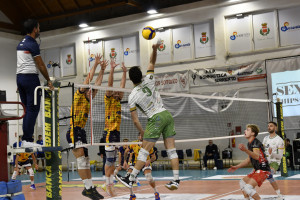 PIERVITO DISABATO
