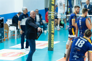 Coach Porcino