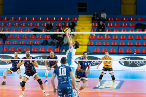 Leone in palleggio