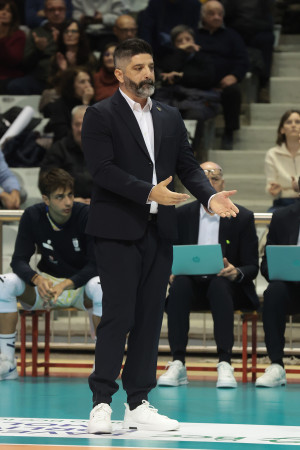 Bonifante