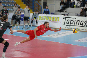Difesa Fano