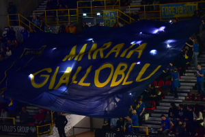 Maraia giallobl&ugrave; 