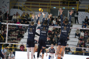 muro Rana Verona