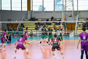 Squadre in campo