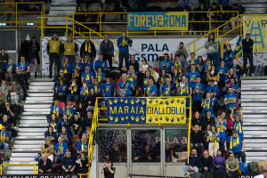 Tifosi Rana Verona