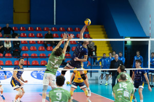Gitto attacca