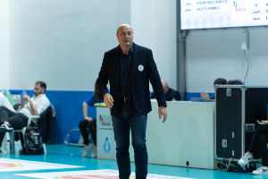 Coach Porcino