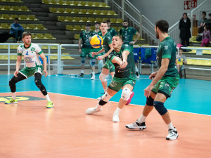 ricezione Picchio