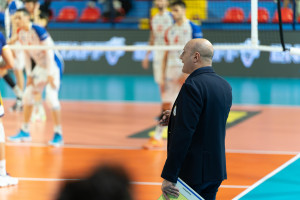 Coach Porcino