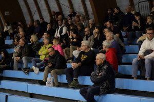 Il pubblico
