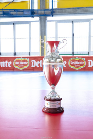 Del Monte® Coppa Italia Serie A3