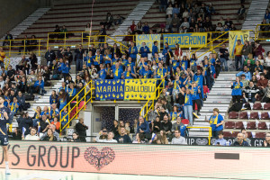 tifosi Verona