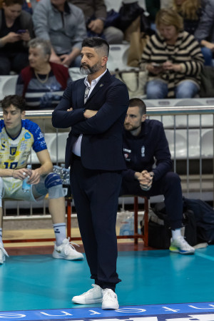 Bonifante
