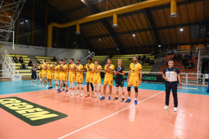 Palmi in campo