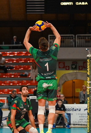 Alzata Cottarelli
