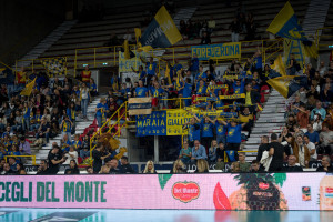 tifo Verona