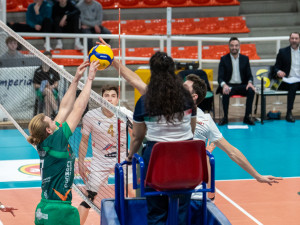 GIOCO A RETE