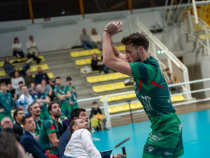 RECUPERO COTTARELLI
