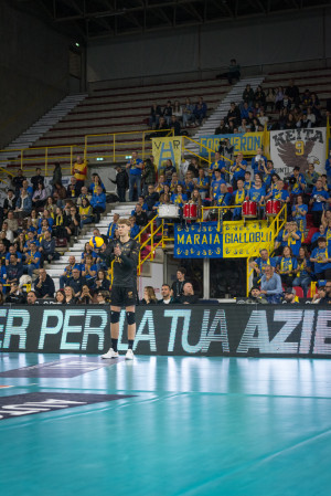tifosi