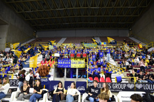 Tifosi Verona
