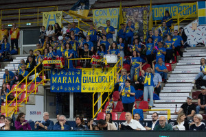tifosi Verona