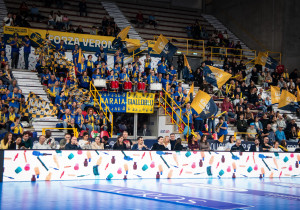 tifosi Verona