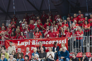 Lupi Biancorossi 