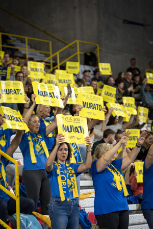 pubblico Verona