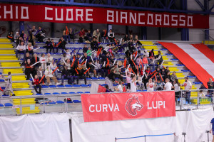 Curva Lupi