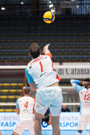 Pinelli al servizio