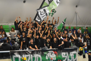 Tifosi Green Volley