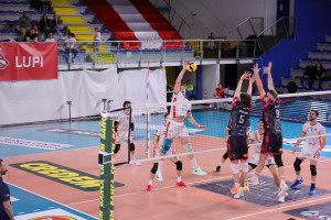 Attacca Nelli