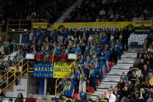 Maraia giallobl&ugrave; 