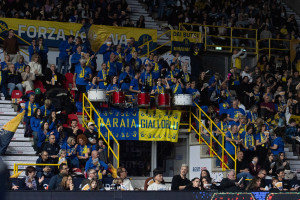 tifosi Verona
