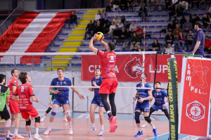 Gavenda in palleggio