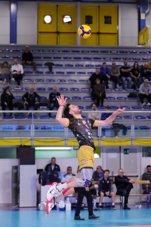 Sperotto in battuta