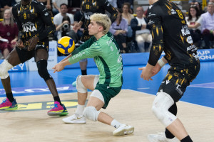 Staforini in ricezione