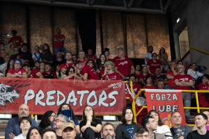 tifosi Lube