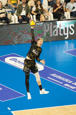 servizio Mozic