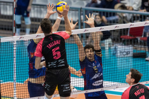 Tallone sul muro di Ravenna