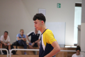 Davide Boschini