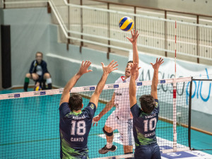 Gioco a rete