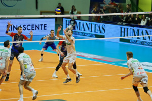 Travica alzata
