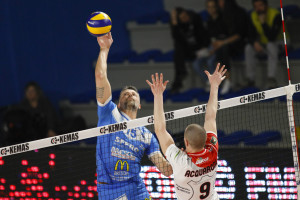 Cisolla in attacco