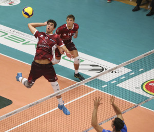 Acuti in attacco