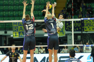 Kurek muro