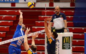 Cisolla in attacco