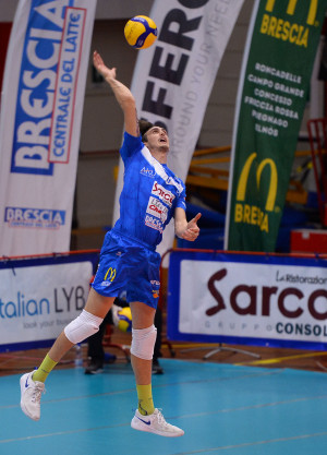 Gallo servizio al salto